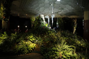 The Lowline